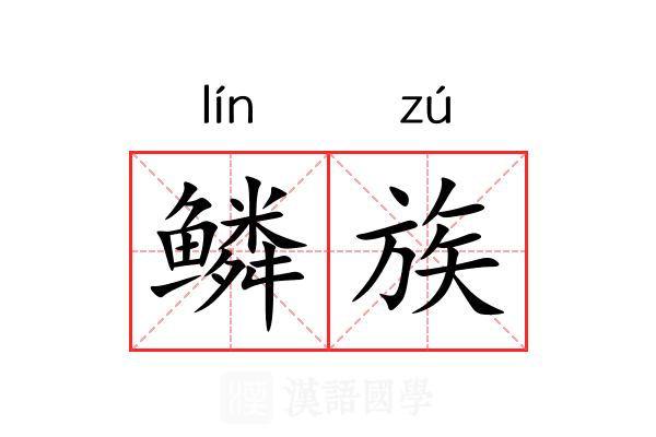 鳞族 鳞族
