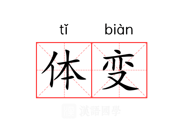 体变