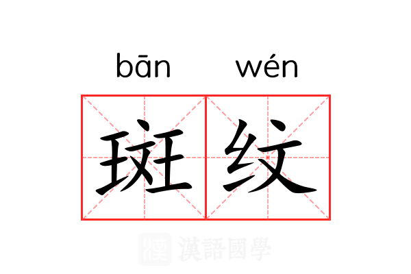 斑纹