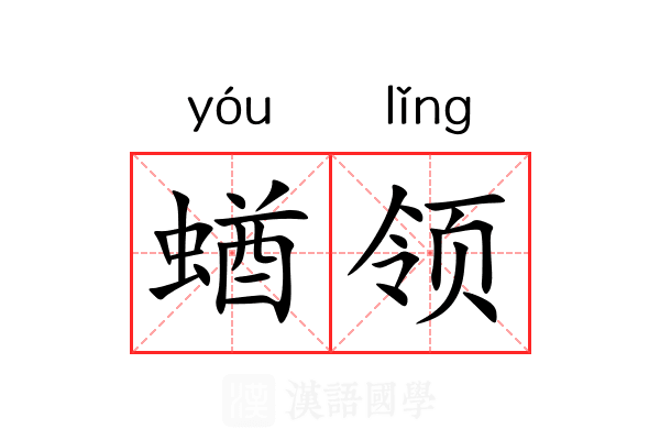 蝤领 蝤领