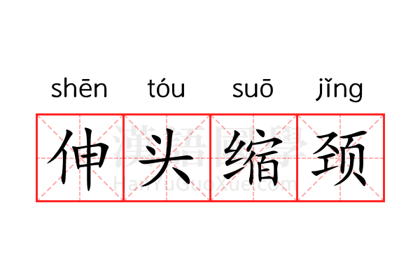 伸头缩颈 伸头缩颈