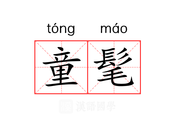 童髦 童髦