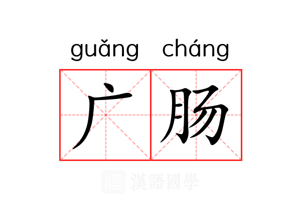 广肠