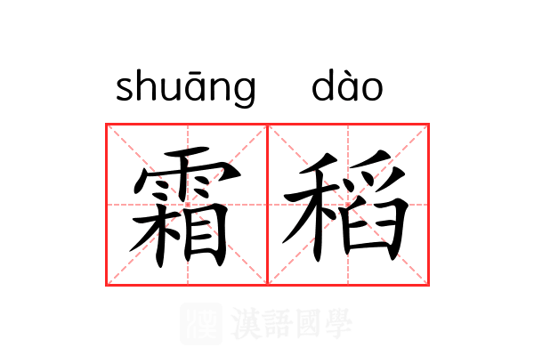 霜稻