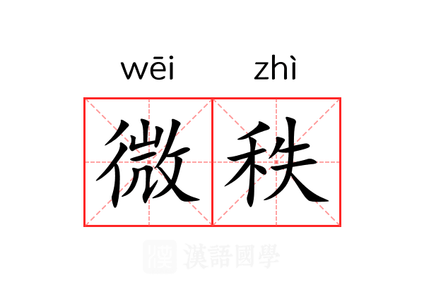 微秩 微秩