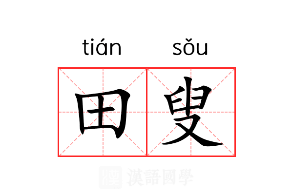 田叟