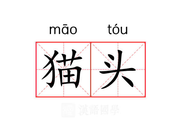 猫头 猫头