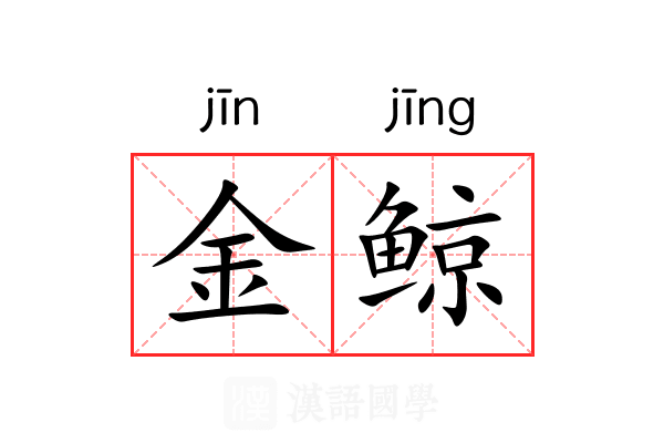 金鲸 金鲸