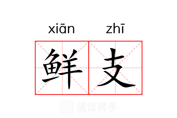 鲜支 鲜支