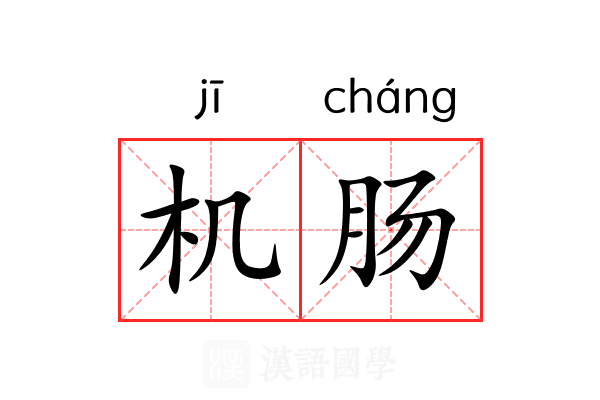 机肠 机肠