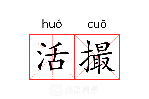 活撮 活撮