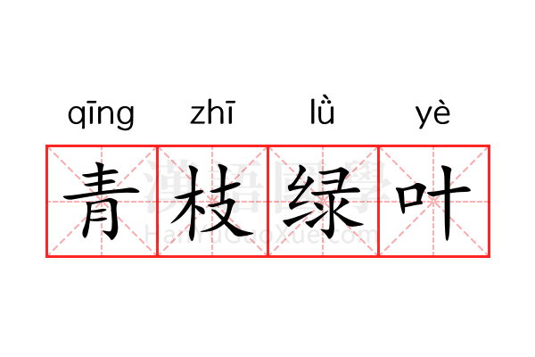 青枝绿叶 青枝绿叶