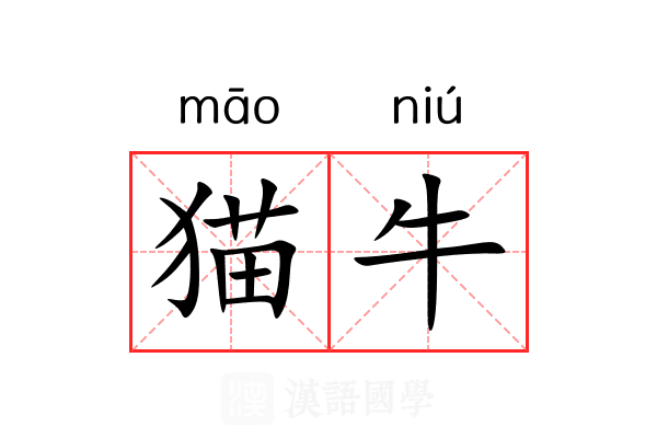猫牛