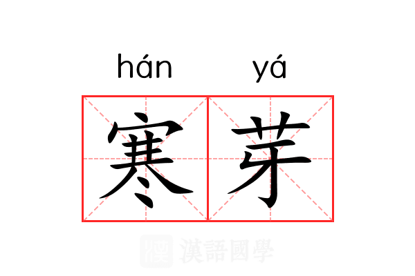 寒芽 寒芽