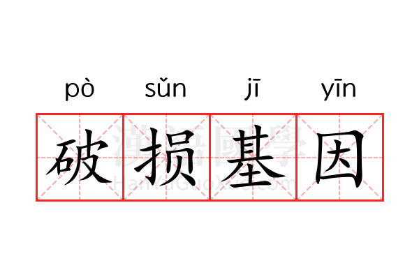 破损基因 破损基因