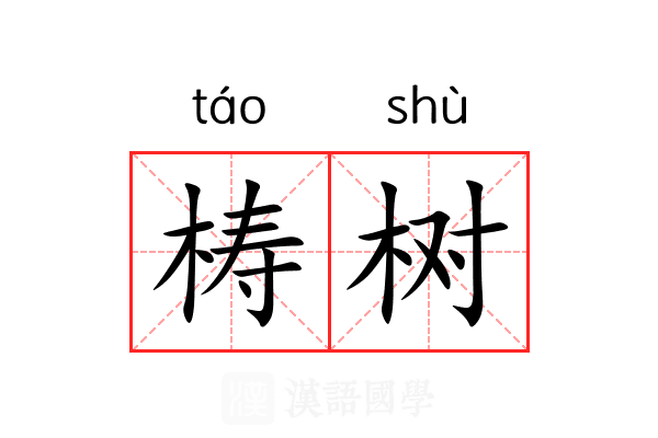 梼树 梼树