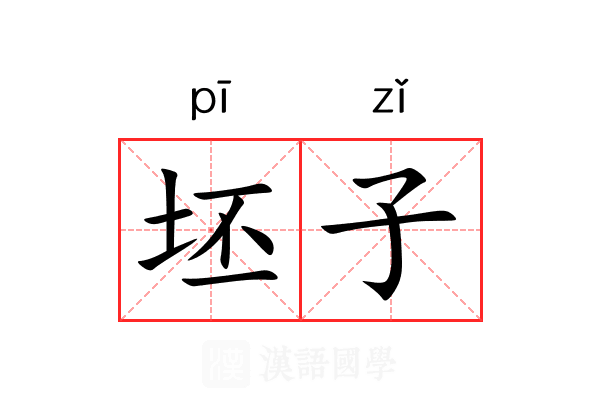 坯子
