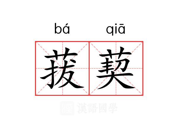 菝葜 菝葜