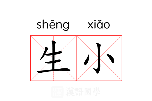 生小