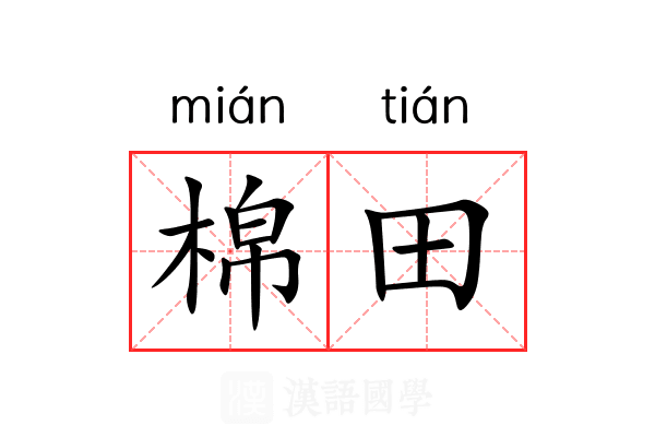棉田