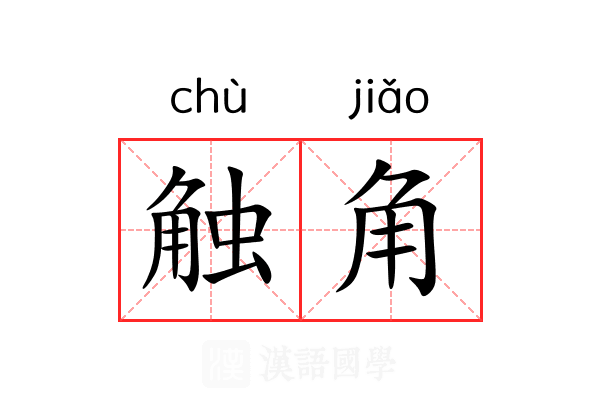 触角