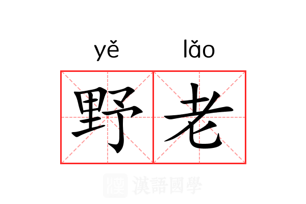 野老 野老