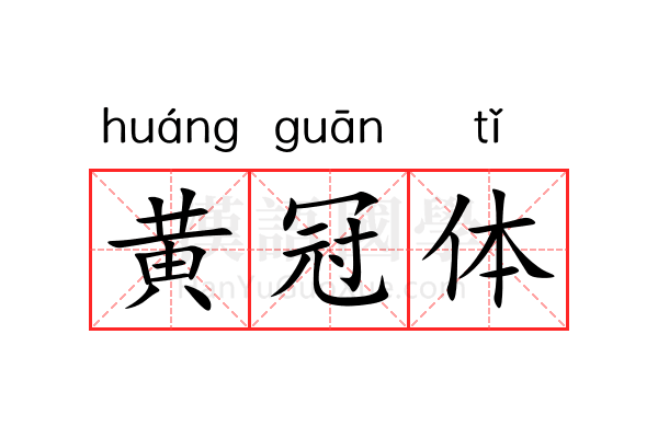 黄冠体 黄冠体