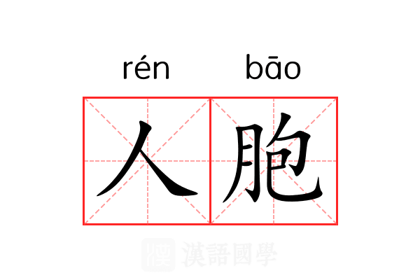 人胞 人胞