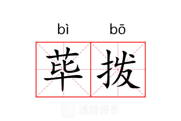 荜拨