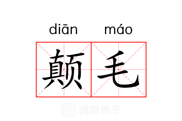 颠毛 颠毛