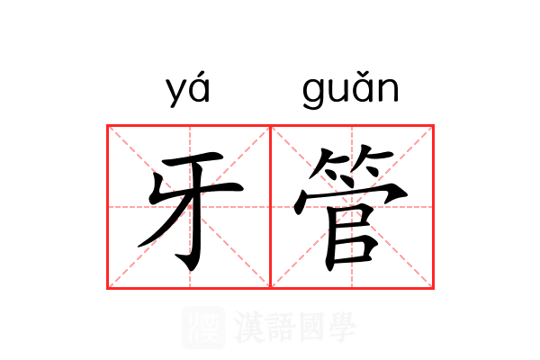牙管 牙管