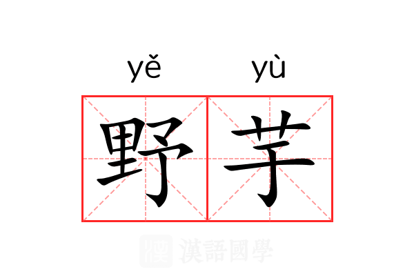 野芋