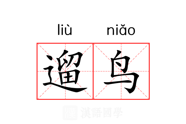 遛鸟