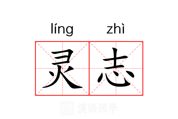 灵志 灵志
