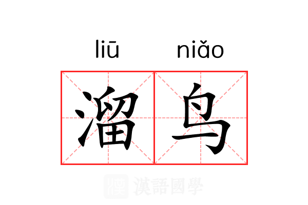 溜鸟 溜鸟