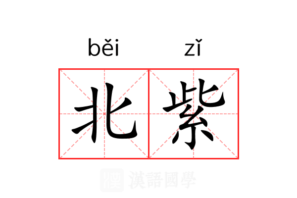 北紫 北紫
