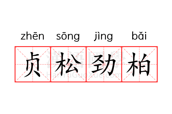 贞松劲柏 贞松劲柏