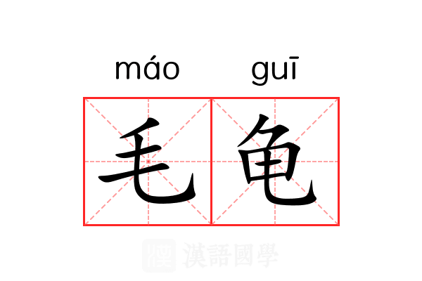 毛龟