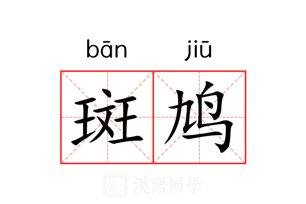 斑鸠