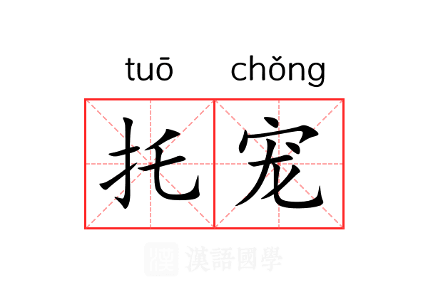 托宠 托宠