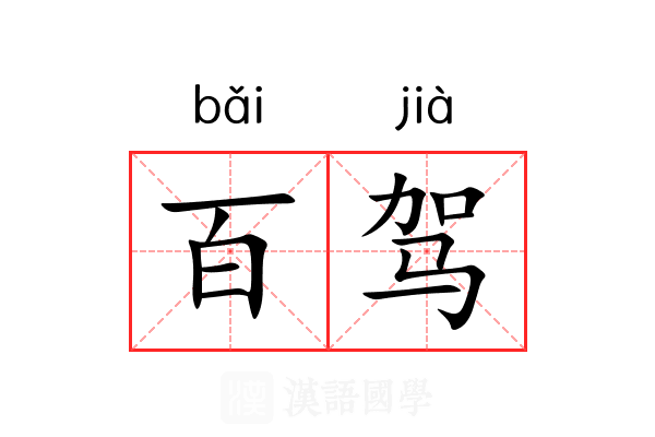 百驾 百驾