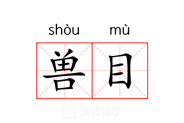 兽目