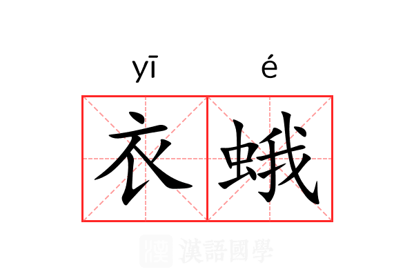 衣蛾 衣蛾