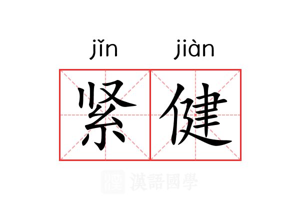 紧健