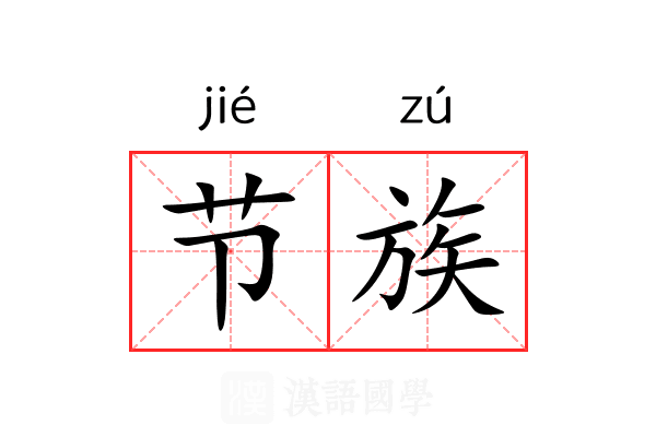 节族 节族