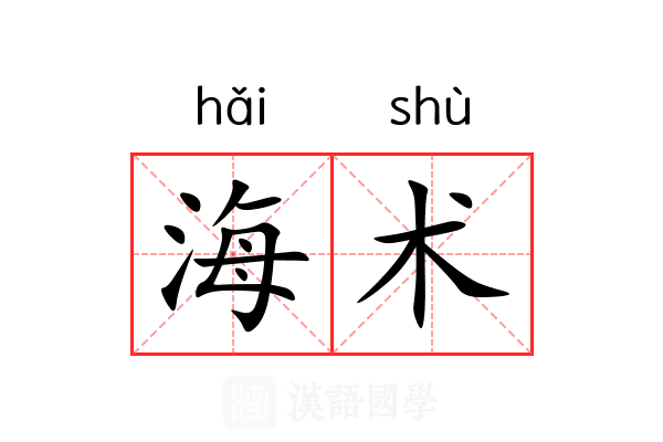 海术 海术