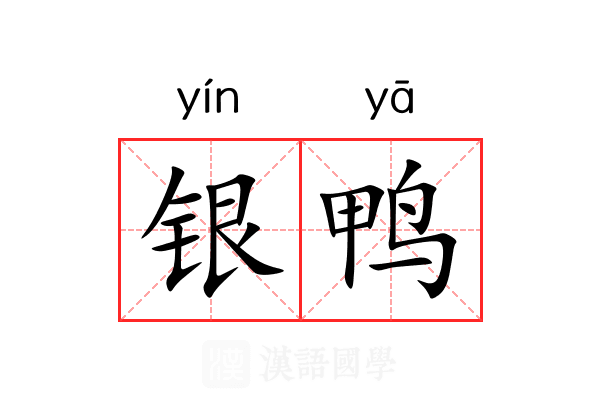 银鸭