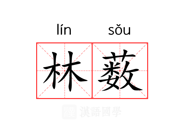 林薮 林薮