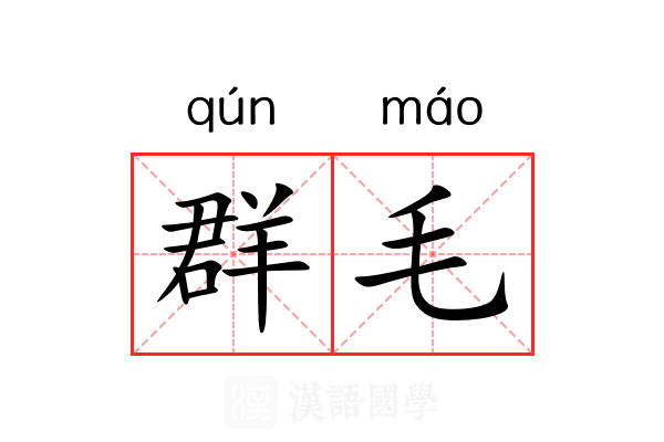 群毛 群毛