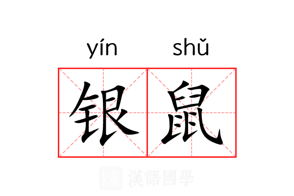银鼠